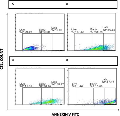 Aqueous Nyctanthes arbortristis and doxorubicin conjugated gold nanoparticles synergistically induced mTOR-dependent autophagy-mediated ferritinophagy in paclitaxel-resistant breast cancer stem cells
